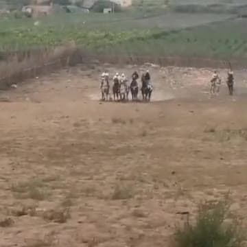 La charge de la Tbourida