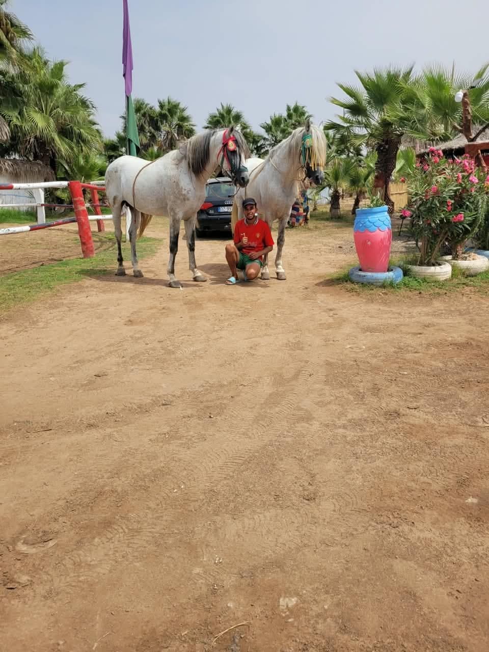 Cours d'équitation